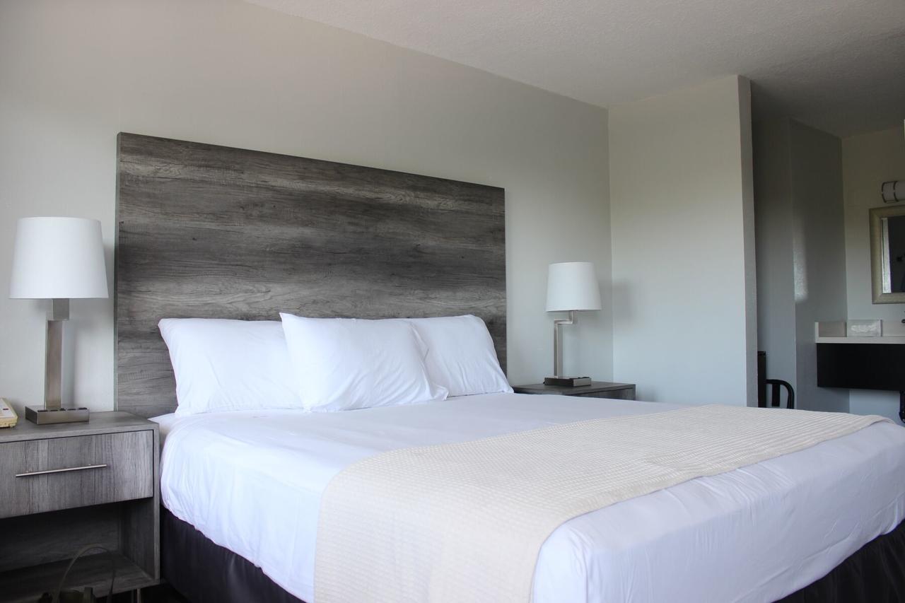 Riverleaf Inn Mission Valley San Diego Ngoại thất bức ảnh